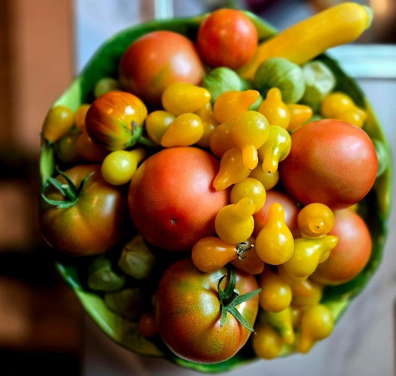 Palisade Peach Salsa