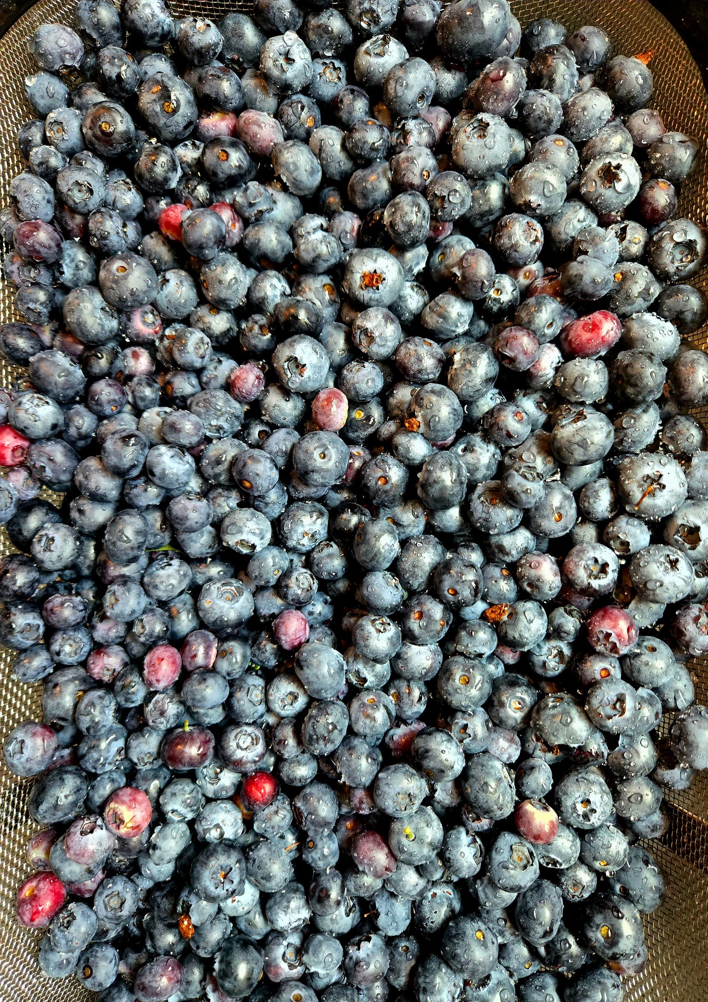 Wild Berry Jam