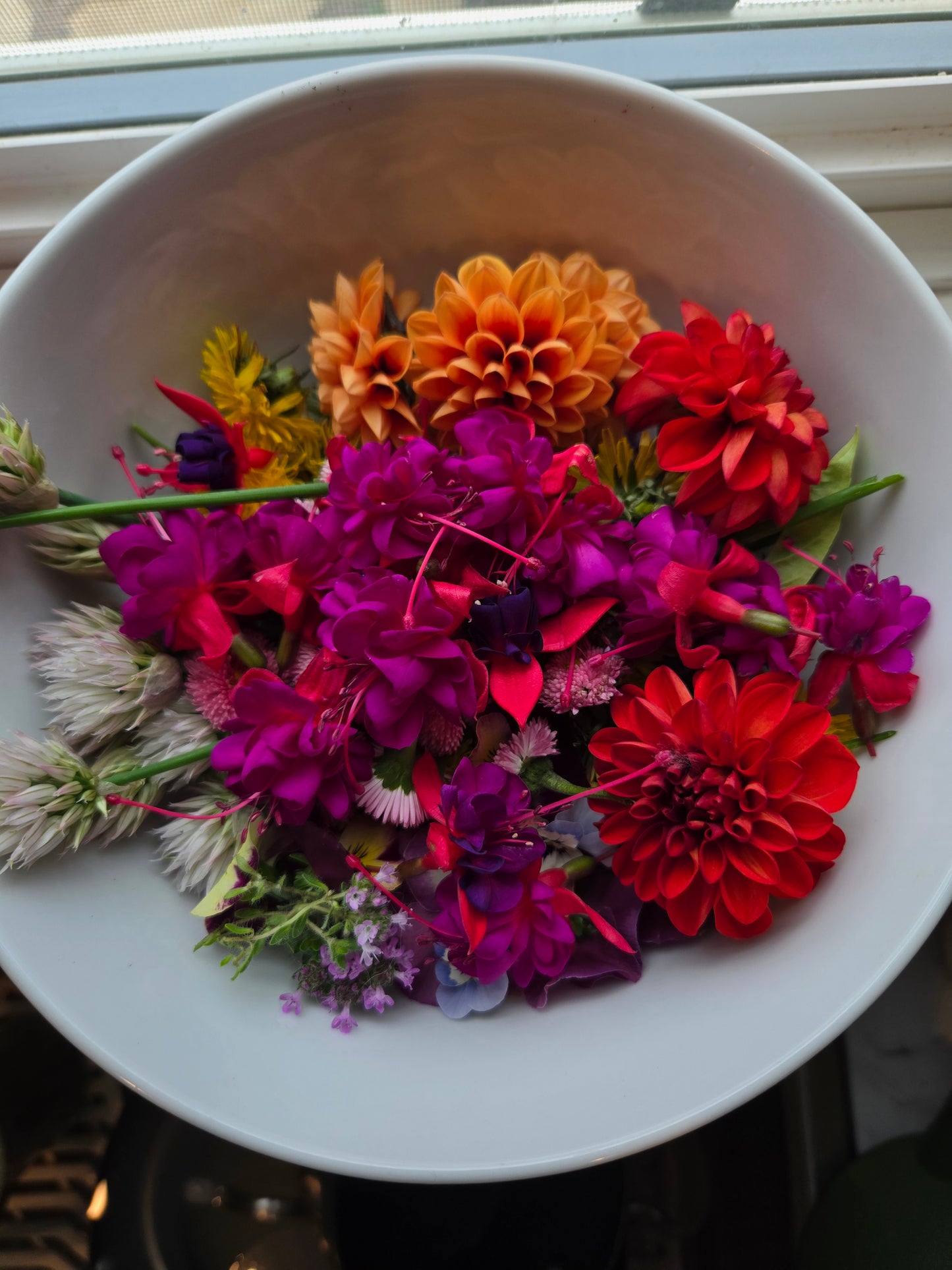 Edible Flowers