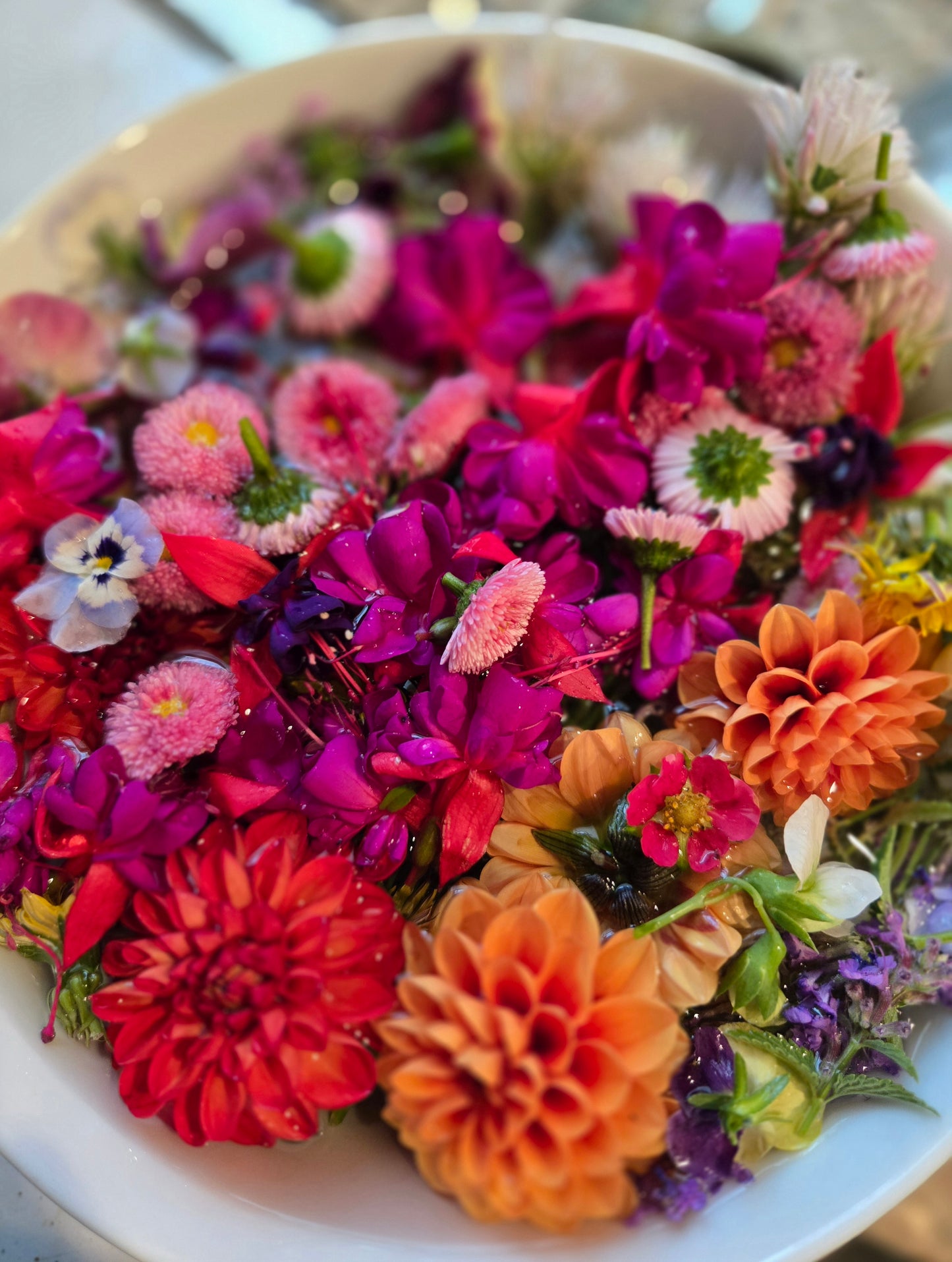 Edible Flowers