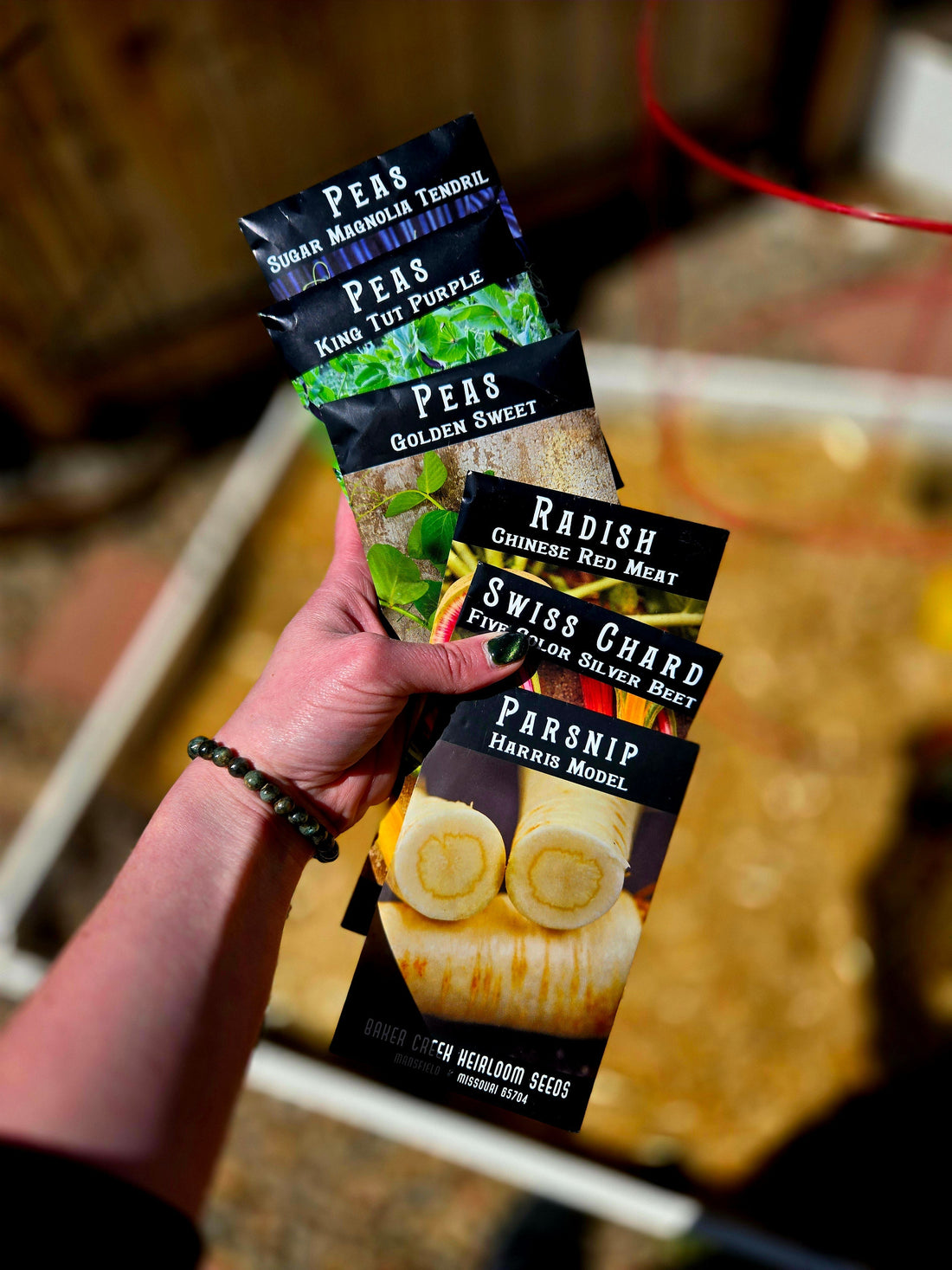 Spring Planting in Zone 5b: What’s Growing in the Feral Flavors Garden (April)
